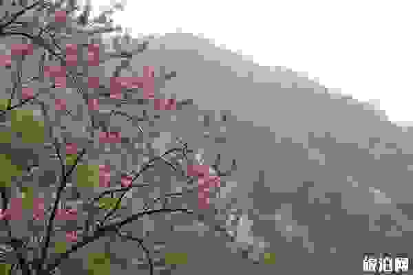 2019西安太平國家森林公園在哪+地址+交通+電話