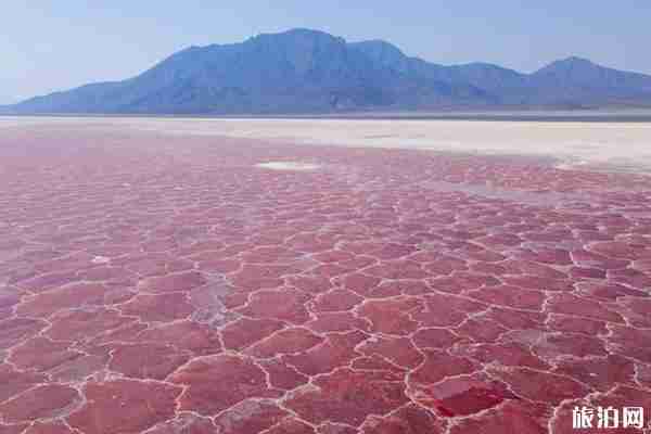 墨西哥粉紅湖形成原因 墨西哥粉紅湖攻略