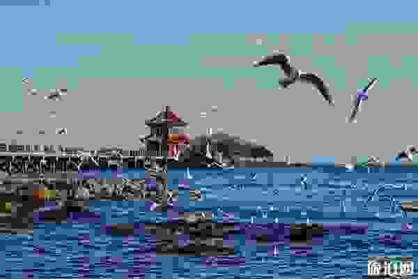 青島旅游景點經驗總結+小建議 青島旅游景點攻略