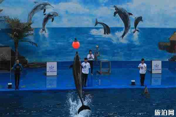 昆明石林冰雪海洋世界攻略+地址+交通