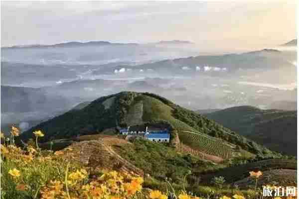 寧波8條最美風車公路怎么去