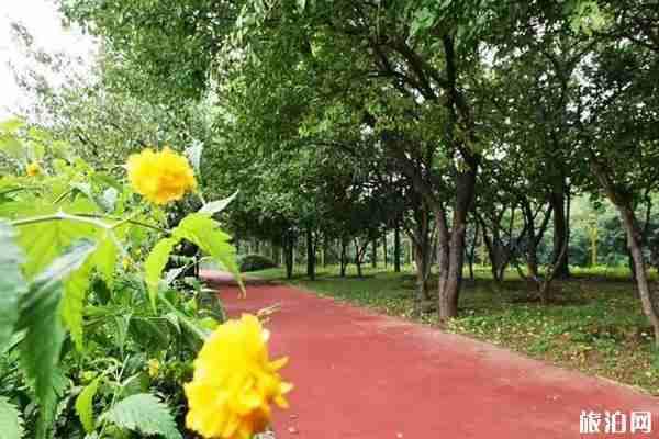 順義水上公園游玩攻略