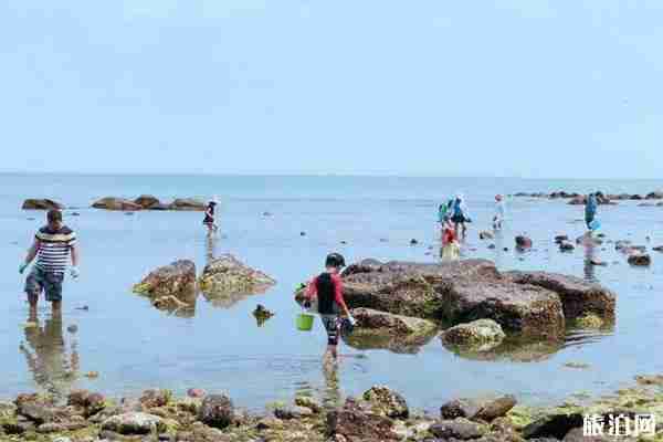 2019潭門趕海節(jié)時(shí)間+地點(diǎn)+交通+活動介紹