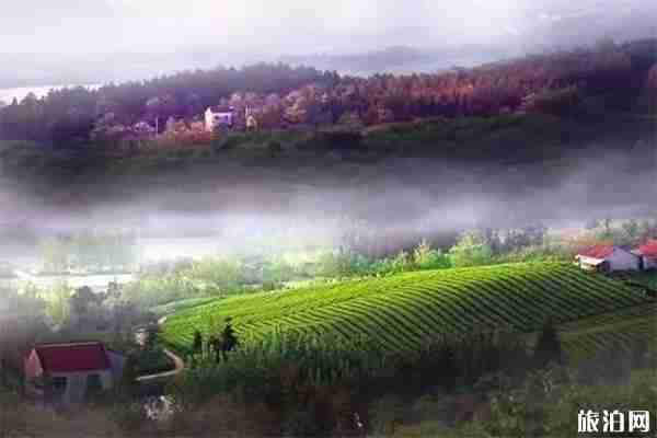 常州溧陽二日游玩攻略