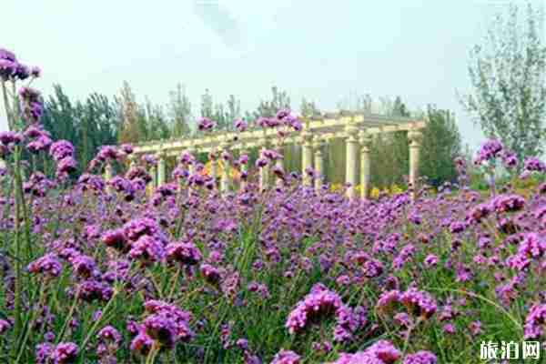 石家莊森林河趣那公園門票價(jià)格多少錢