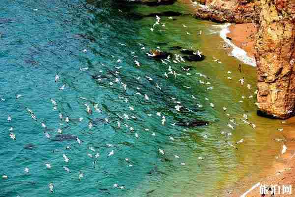 威海哪里可以看日出 威?？慈粘龅淖罴训胤? width=