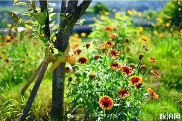 黃山周邊親子游景點(diǎn)推薦