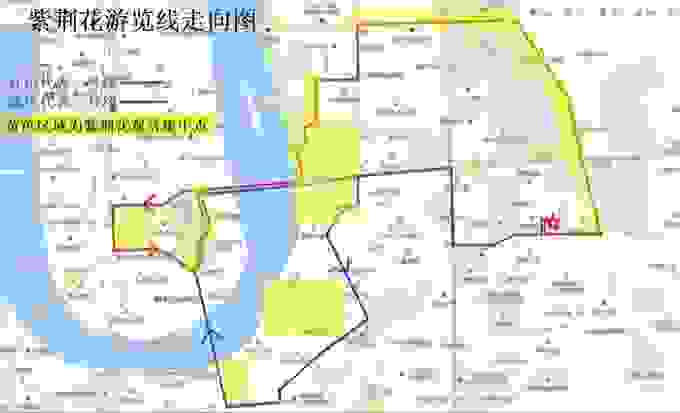 广西柳州紫荆花最佳欣赏线路