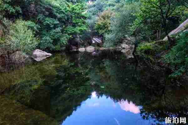 欒川蝴蝶谷景區門票多少錢 有哪些景點