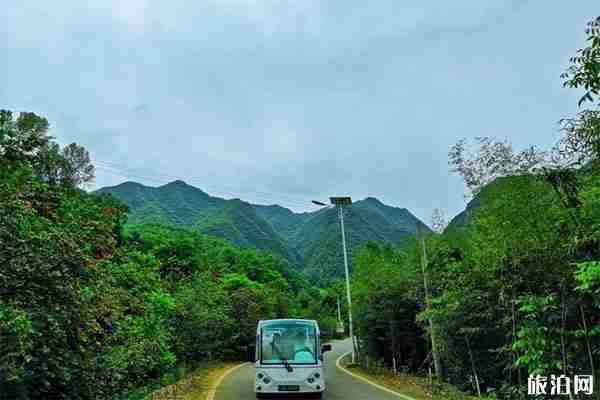 栾川王府竹海景区优惠信息汇总