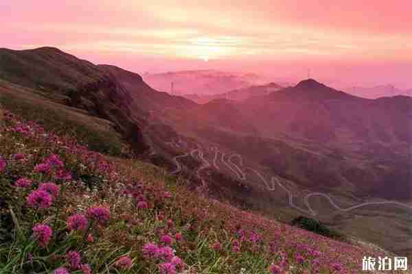 貴州韭菜坪索道和觀光車票多少錢