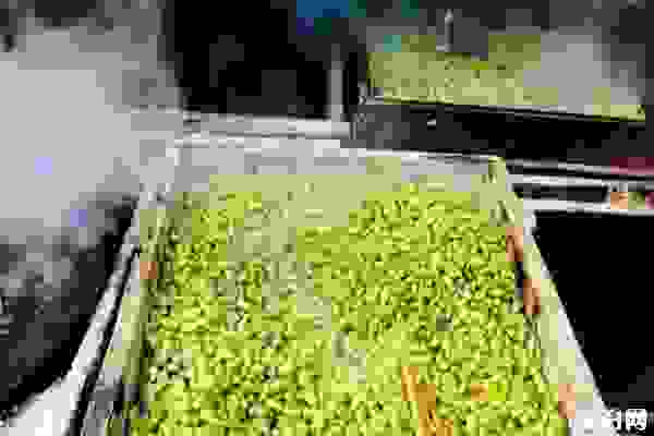 西塘特产哪些能带走的 西塘特产推荐