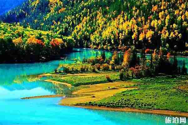 喀纳斯旅游花费多少钱 附喀纳斯门票信息