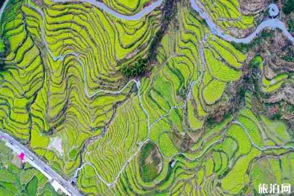 婺源網(wǎng)紅打卡地推薦