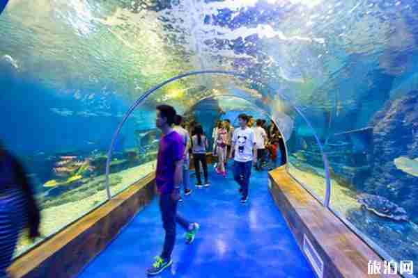 2019昆明花都海洋世界門票價格+表演時間表