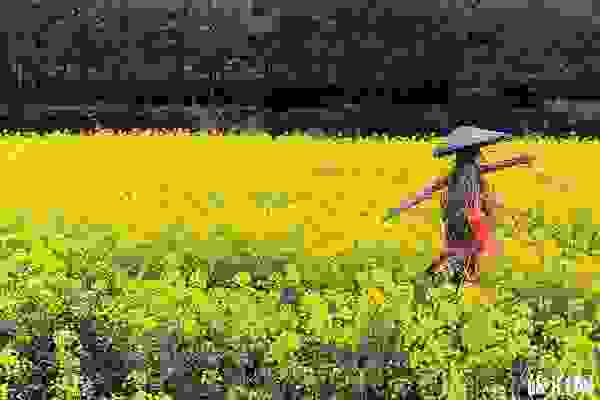 婺源購物去哪里 婺源購物地點推薦