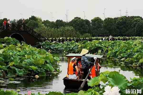 蘇州荷塘月色濕地公園好玩嗎 門票多少錢