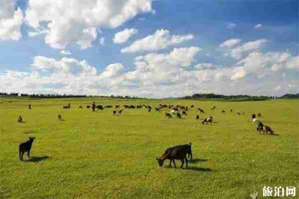 昆明三天两夜旅游推荐