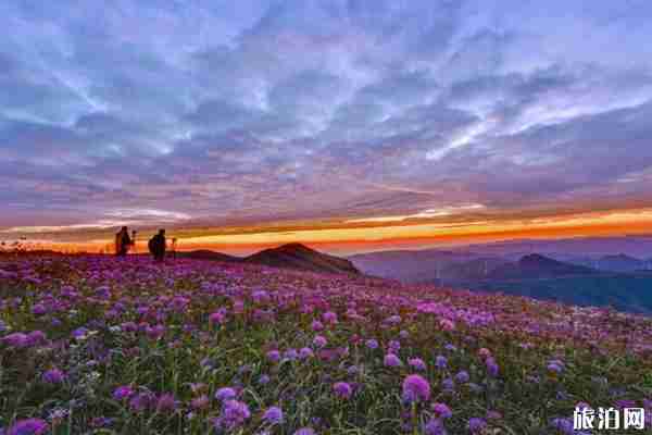 韭菜坪什么时候最漂亮 韭菜坪门票多少钱