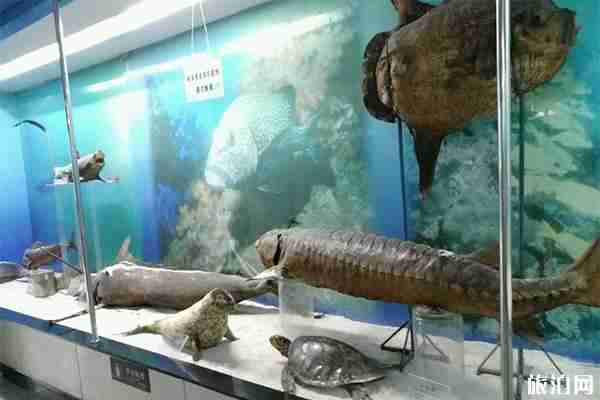 徐州亲子游玩景点攻略