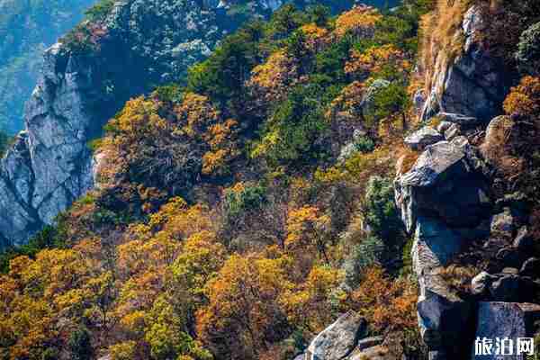 江西秋天哪里最好玩