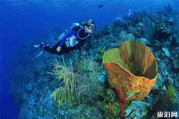 高氧潜水是什么 高氧潜水有什么危险