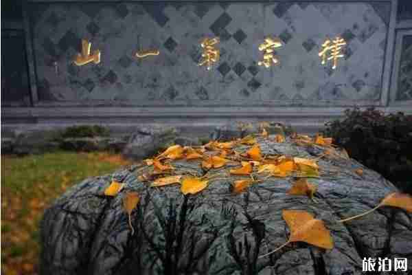 镇江哪里有银杏树观赏