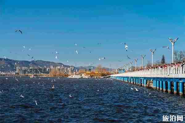 滇池西山游玩攻略 坐缆车信息