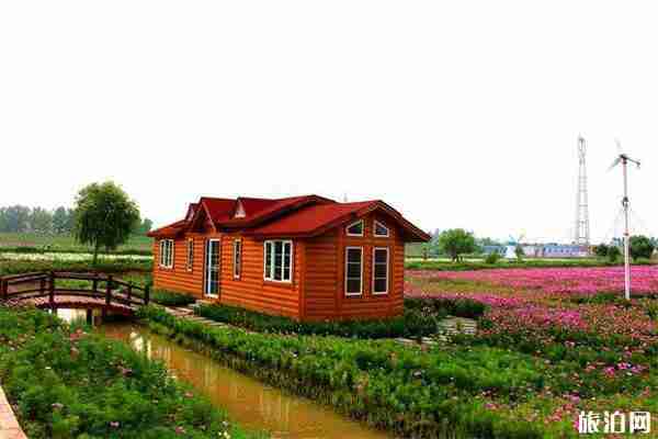 连云港薰衣草园好玩不 连云港薰衣草园门票多少钱