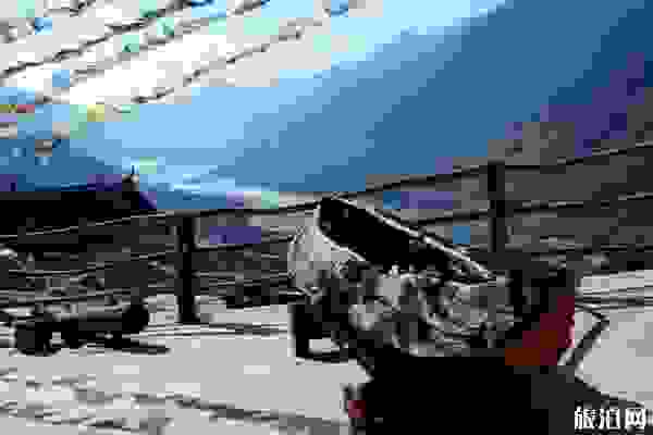 虎跳峽景點介紹+交通指南