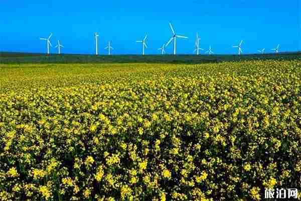 黃花溝什么時候去游玩比較好+自駕游路線