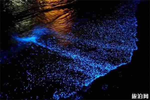 平潭哪里能看到藍眼淚