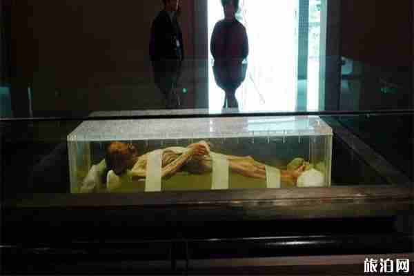 荊州博物館開放時(shí)間 官網(wǎng)+門票信息