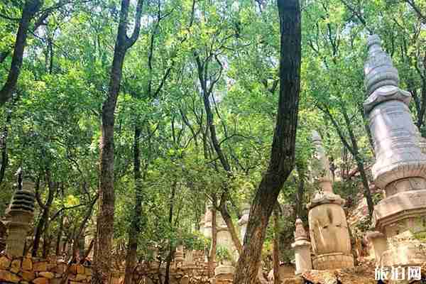 梨木臺風景區什么時候去最好 最佳季節是什么時候