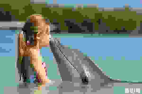 分界洲岛亲子游玩攻略