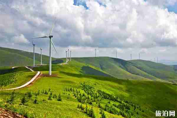 坝上草原指的是哪里 坝上草原有哪些