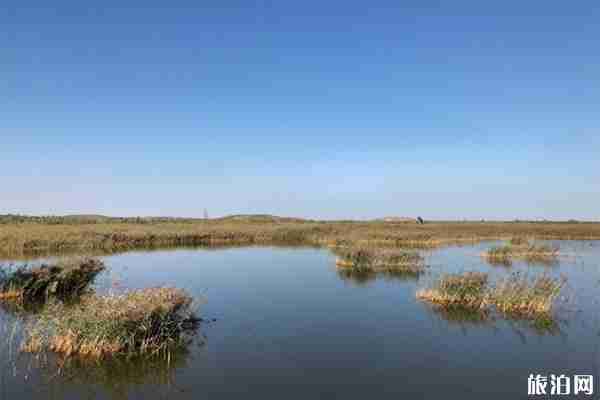 滄州周邊有哪些小眾景點