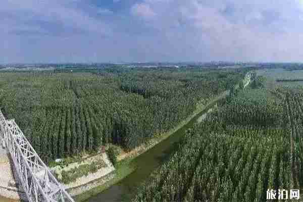 滄州周邊自駕游有哪些好玩的地方