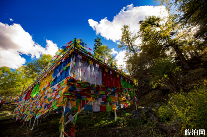 稻城亚丁高反怎么办+交通指南