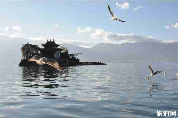 环洱海游玩方式推荐+环洱海路线图