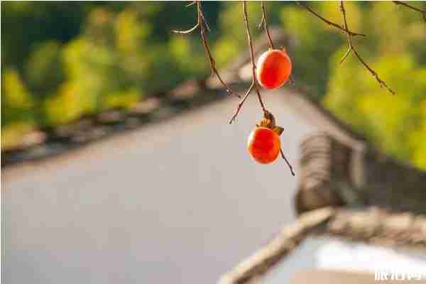 秋天必去的古村落景點推薦