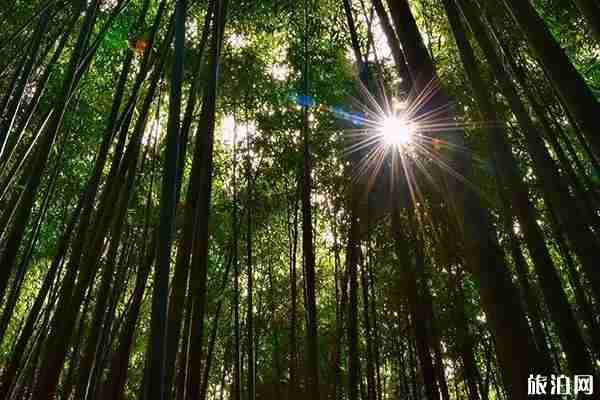 2019陜西教師節(jié)免票景點