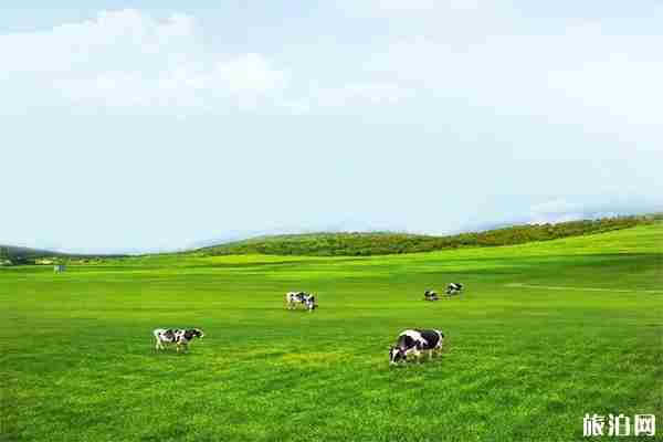 大連網紅打卡景點有哪些