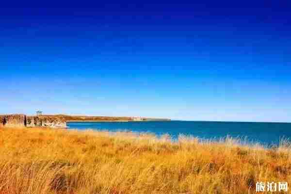 呼倫貝爾秋天景色推薦+地址+交通