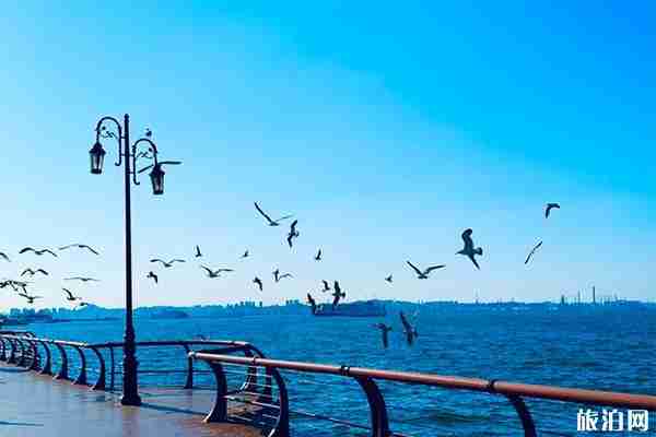 旅順適合拍照的網紅打卡地有哪些