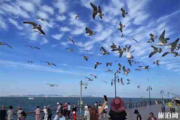 旅順有什么好玩的 旅順熱門景點介紹