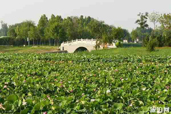 衡水周邊有哪些景點