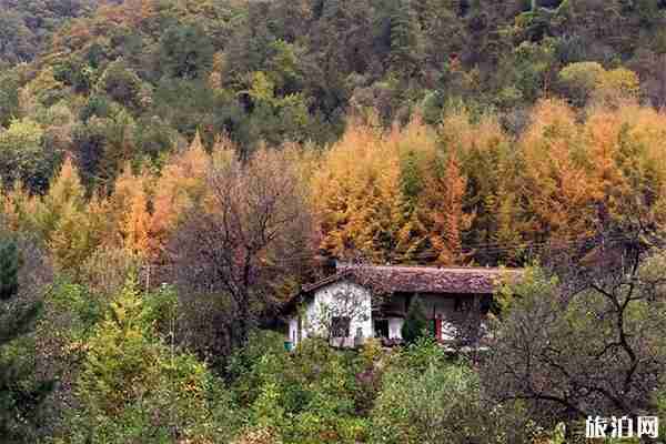陕西黄柏源有什么好玩的+最佳旅游时间