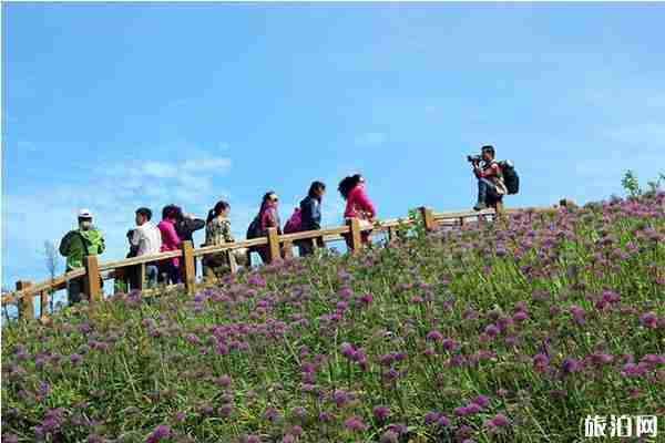 贵州秋天最美的7个地方 贵州赏秋攻略