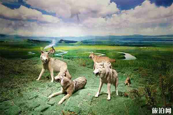 内蒙古博物院开馆时间 参观指南